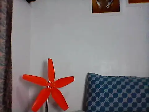 nhayasquirt online show from 10/28/25, 09:30