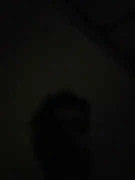 Handydila online show from 11/07/25, 10:57