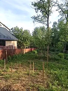 Alekseycv11 online show from 05/25/26, 04:38