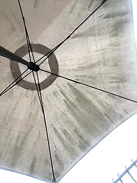 Sallem Pink online show from 12/20/25, 11:13