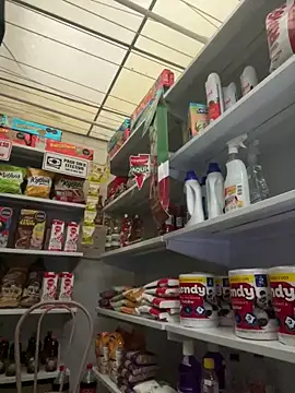 Sallem Pink online show from 02/13/26, 11:21