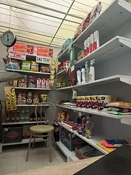 Sallem Pink online show from 02/14/26, 11:21