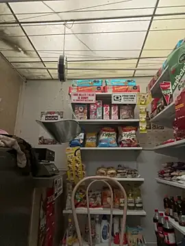 Sallem Pink online show from 03/30/26, 11:11