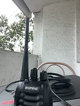 Sallem Pink online show from 03/12/26, 11:25