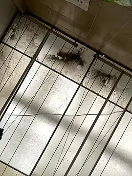 Sallem Pink online show from 01/16/26, 11:25