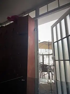 Sallem Pink online show from 12/19/25, 11:12