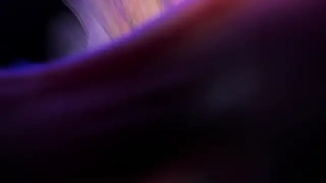 Widny Beaumont online show from 11/22/25, 03:38