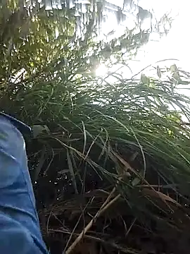 optra34 online show from 10/13/25, 03:30