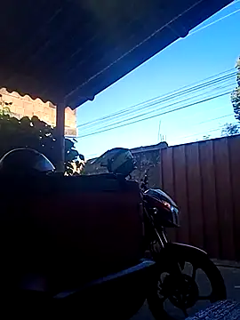 BrenoAvelar online show from 01/11/26, 08:27