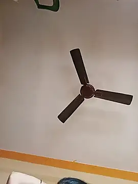 NISHU-TELUGU online show from 12/17/25, 03:33