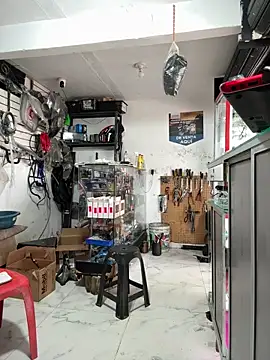 Terra-22cm online show from 12/20/25, 03:15