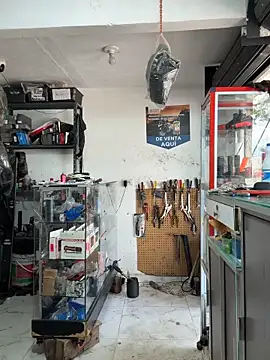 Terra-22cm online show from 11/04/25, 03:27