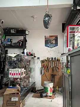 Terra-22cm online show from 01/05/26, 05:27