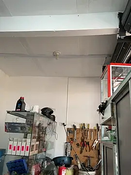 Terra-22cm online show from 03/01/26, 02:39