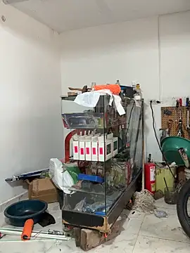 Terra-22cm online show from 02/13/26, 01:22