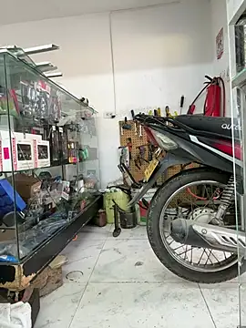 Terra-22cm online show from 03/10/26, 12:42