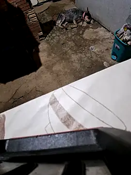 Snapshot of Negodabenga chatting on 10/27/25, 11:27 Negodabenga online show from 10/27/25, 11:27