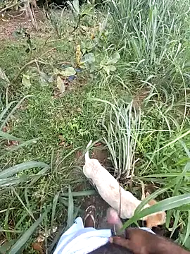 Negodabenga online show from 02/13/26, 01:11