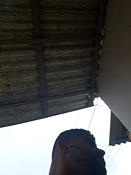 Negodabenga online show from 02/20/26, 04:42