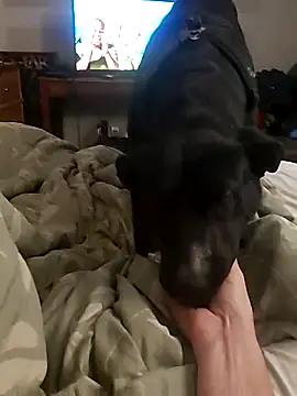 dandonn online show from 02/27/25, 01:08