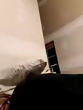 dandonn online show from 01/25/25, 06:34