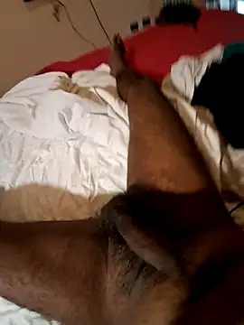 Stud s online show from 02/01/26, 09:29