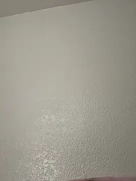 vivian3 online show from 11/27/25, 06:36