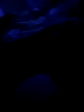Georgerazvan1989 online show from 01/14/26, 06:17