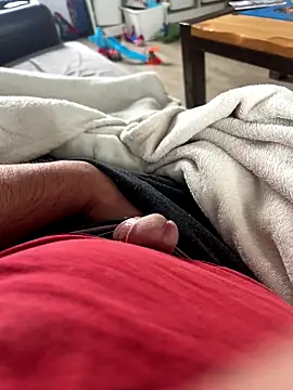 carapace31 online show from 11/23/25, 09:52