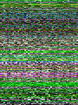 sasud2 online show from 11/08/25, 12:03