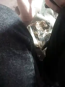 sasud2 online show from 11/26/25, 01:38