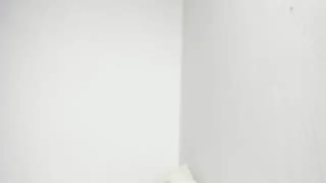 snow doll online show from 04/13/26, 09:52