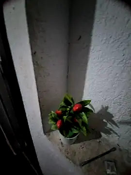 Snapshot of MIXJARABA chatting on 02/08/26, 08:01 MIXJARABA online show from 02/08/26, 08:01