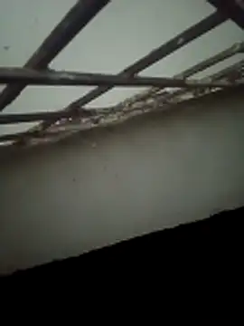 Snapshot of Daisygirl9 chatting on 10/22/25, 09:35 Daisygirl9 online show from 10/22/25, 09:35