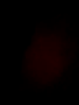 Snapshot of Daisygirl9 chatting on 02/21/26, 06:10 Daisygirl9 online show from 02/21/26, 06:10