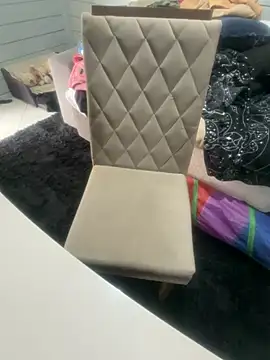 AnimistEquity online show from 11/12/25, 03:38