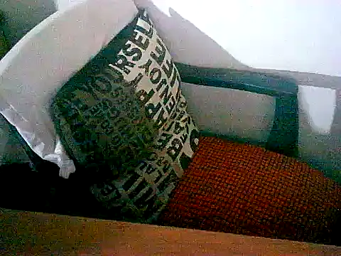 sacptjock83 online show from 12/17/25, 08:58