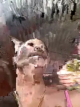 Rous-squir online show from 01/07/26, 07:08