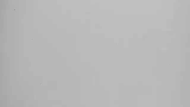 Snapshot of FluffyMelons chatting on 05/18/26, 10:58 FluffyMelons online show from 05/18/26, 10:58