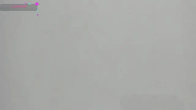 FluffyMelons online show from 01/17/26, 12:04