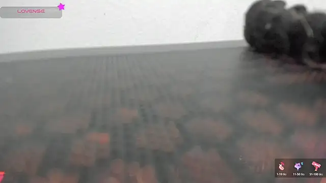 FluffyMelons online show from 04/01/26, 11:01