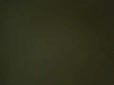 Quarentaoon online show from 10/03/25, 10:11