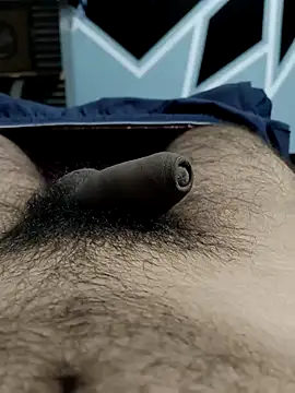 Bull54321 online show from 09/11/25, 05:18