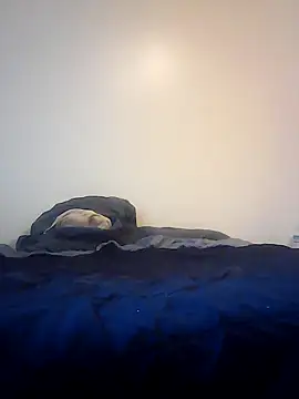 pullitoff online show from 03/26/26, 03:10