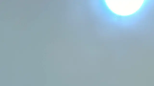 Dixie grey1 online show from 10/15/25, 02:47