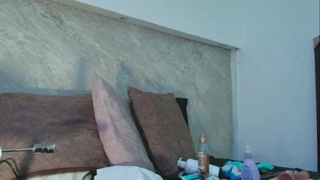 Snapshot of Dixie_grey1 chatting on 02/27/26, 03:23 Dixie grey1 online show from 02/27/26, 03:23