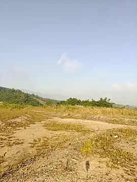 asian 2k online show from 11/26/25, 01:16