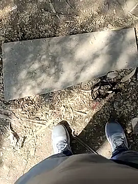 indian pavi online show from 01/19/26, 05:55