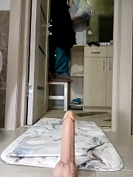 N i k o l a u online show from 04/04/26, 05:41