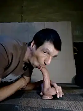 N i k o l a u online show from 02/25/26, 01:44